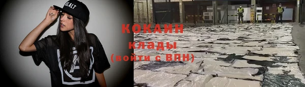 тгк Абаза