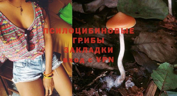 тгк Абаза