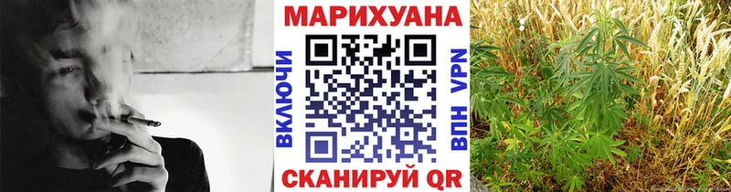 цены наркотик  Александровск  Шишки марихуана сатива 